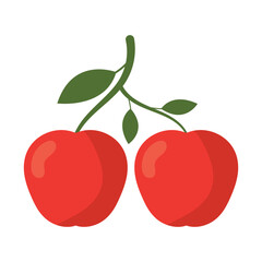 delicious fresh fruit cartoon vector