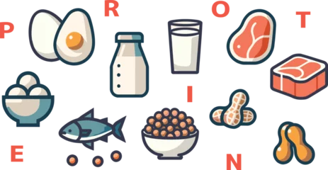 Poster Set of protein food icons. Vector illustration in flat design style. Generative AI. © mari