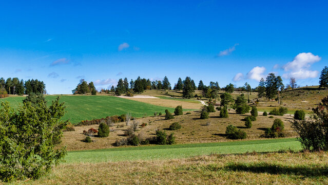 Wacholderheide Digelfeld bei Hayingen auf der schw&auml;bischen Alb