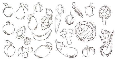 Vegetables and fruits in line art style. Big set of hand drawn vegetables, fruits and berries. Vector illustration isolated on a white background.