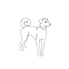 Dog, continuous line drawing, a pet small tattoo, print for clothes, silhouette one single line on white background, isolated vector illustration.