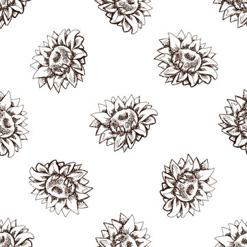 Seamless pattern of hand drawn sunflower. Monochrome flower doodle. Black and white vintage element. Vector sketch. Detailed retro style.