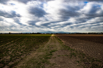 Fototapeta na wymiar plowed field and sky
