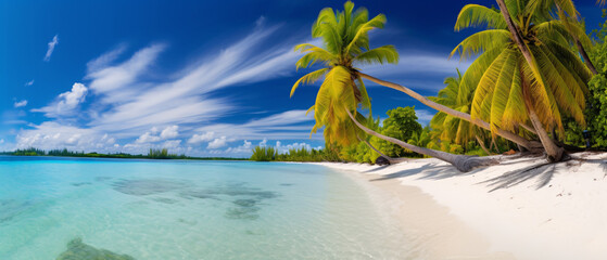 Fototapeta na wymiar Beautiful tropical island with palm trees and beach panorama. A perfect tropical landscape.