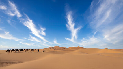 Two unidentified Berber men leading a camel caravan across sand dunes in Sahara Desert, Morocco