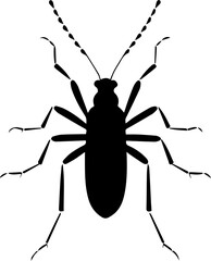 Vinegaroon Insect Icon