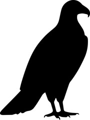 Vulture Bird Icon