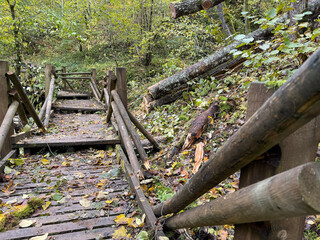 Damage on a nature trail. Broken and knocked down trees
