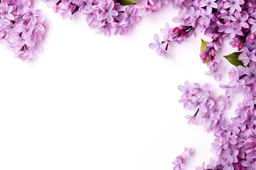 Schilderijen op glas Spring lilac flowers on white background © stock_acc