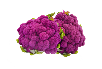 purple cauliflower isolated on transparent png