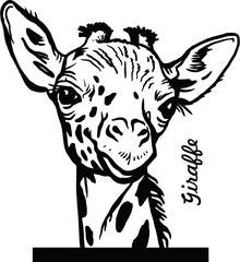 Peeking Giraffe - Comic Animal - Funny Animal - Wildlife Stencil - vector clipart stock