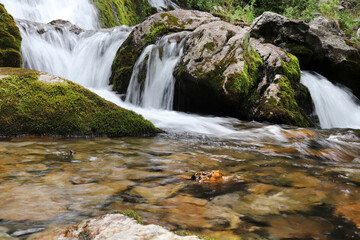 Naklejka na ściany i meble A natural waterfall flowing down rugged rocks covered in moss
