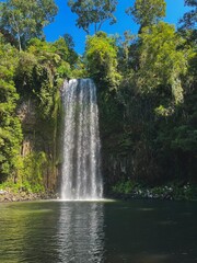 waterfall in the forest in australia