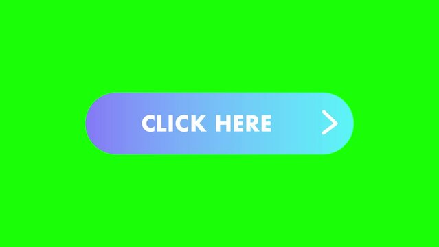 4 click here button animations in different colors. Colorful round button with click here text. Isolated element or symbol on green screen background.