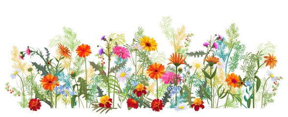 Horizontal autumn’s border: marigold, thistles, gerbera, daisy flowers, small green twigs, red berries on white background. Digital draw, illustration in watercolor style, panoramic view, vector