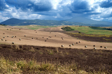 Obraz premium Rural landscape in Tuscany near San Quirico d Orcia