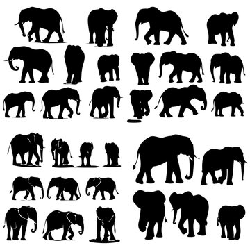 elephants silhouettes vector