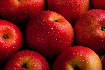 Red apples in water drops close-up, top vew
