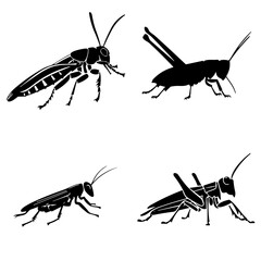 grasshopper silhouette, grasshopper png, grasshopper svg, grasshopper illustration, grasshopper vector, insect, grasshopper, isolated, animal, macro, green, nature, locust, cricket, bug, white, antenn