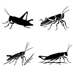 grasshopper silhouette, grasshopper png, grasshopper svg, grasshopper illustration, grasshopper vector, insect, grasshopper, isolated, animal, macro, green, nature, locust, cricket, bug, white, antenn