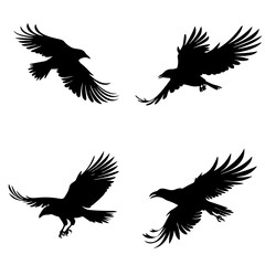 Fototapeta premium bird, silhouette, vector, animal, flying, illustration, nature, birds, fly, icon, wings, black, set, wild, pigeon, wing, dove, wildlife, silhouettes, seagull, flight, feather, design, eagle