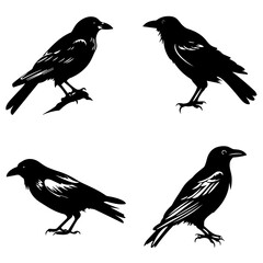 bird, silhouette, vector, animal, flying, illustration, nature, birds, fly, icon, wings, black, set, wild, pigeon, wing, dove, wildlife, silhouettes, seagull, flight, feather, design, eagle