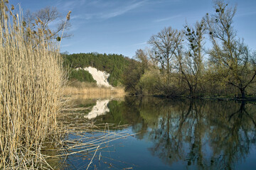 The warm spring sun illuminates a small forest river, the calm surface of the water reflects the sky and trees and reeds growing along the banks, a chalk mountain covered with pine trees 