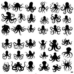 octopus silhouette, octopus png, octopus svg, octopus illustration, sea animal, sea svg, sea png, vector, pattern, floral, flower, design, ornament, seamless, silhouette, art, illustration, decoration