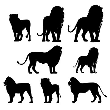 lion silhouette, lion svg, lion illustration, lion png, animal svg, animal png, clipart, horse, animal, silhouette, vector, illustration, mammal, wild, black, dog, farm, nature, animals, wildlife, sta