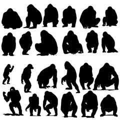 Gorilla Silhouette, Gorilla PNG, Gorilla SVG, Gorilla   illustration, silhouette, vector, icon, illustration, people, head, set, animal, black, profile, woman, cat, design, avatar, face, hair, art, sy