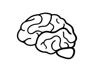 脳の断面図のシンプルなモノクロームイラスト
