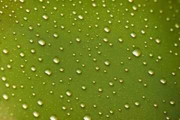 Water drop background. Dancing Droplets. A Serenade of Liquid Elegance. Generative AI