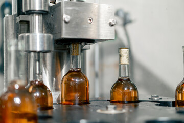 Transparent glass bottles filled with wine are arranged in a row on packaging line to be closed...