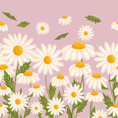 Seamless pattern for postcard or poster with daisies. Chamomile vector floral illustration for congratulations or decor etc. Flowers for spring and summer holidays. Festive template can add text.