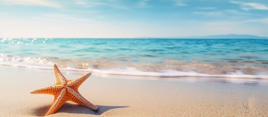 Fototapeta na wymiar Beach starfish