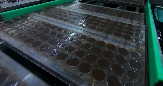 Production of chocolates. Automated production line for chocolate pralines at the factory.