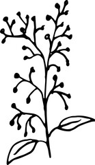 and Drawn Leaves Floral Line Art