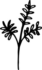 Leaf Botanical Hand Drawn Line Art
