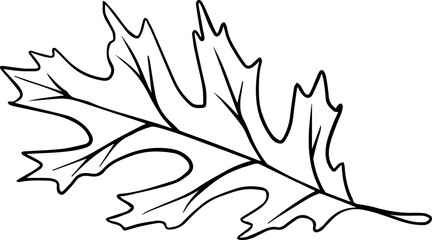 Autumn Leaf Hand Drawn Line Art Monochrome