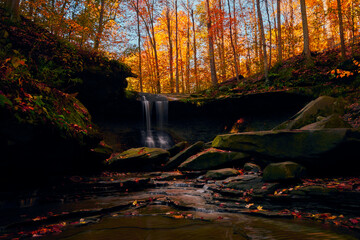 A Waterfall sits within a gorgeous, Autumn colored forest. 