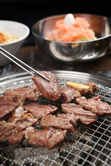 grilled meat on the grill