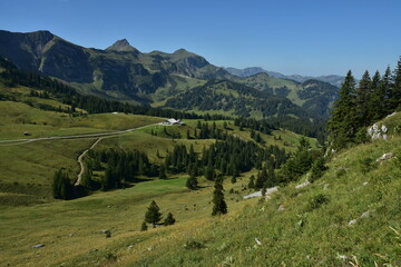 Bregenzerwald; Vorarlberg; Österreich;  Wurzachalpe mit Damülser Mittagsspitze