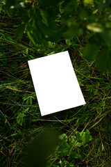 Mockup of white A4 sheet on green grass with blurred branches from a bush in the foreground.