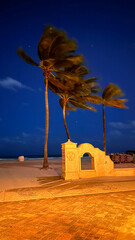 Windy beach night, sand, boardwalk, palm trees, sky, stars