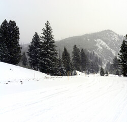 Yellowstone Winter Snow