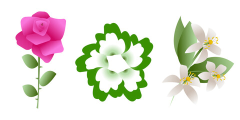 Set of cliparts: rose, jasmine
and an unusual green flower. Suitable for creating patterns, decorating business cards, flower shops, printing and websites.