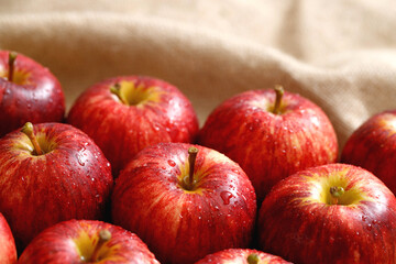 fresh red apples on the wooden floor