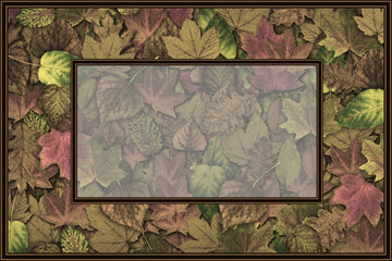 Frame with autumn leaves. Yellow autumn background with fallen leaves close-up and copy space.