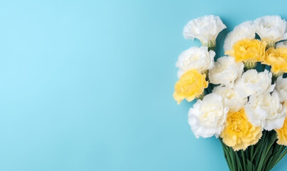 Close-up of yellow and white carnations, representing love and fascination, beautifully juxtaposed.