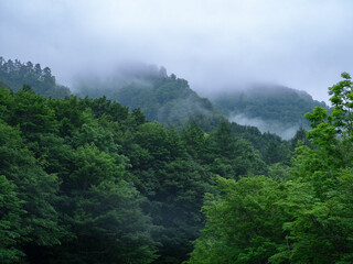 霧がかった山奥の光景